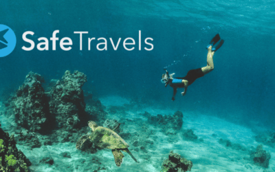 SafeTravels founder “makes money in his sleep” with Viator widgets and links