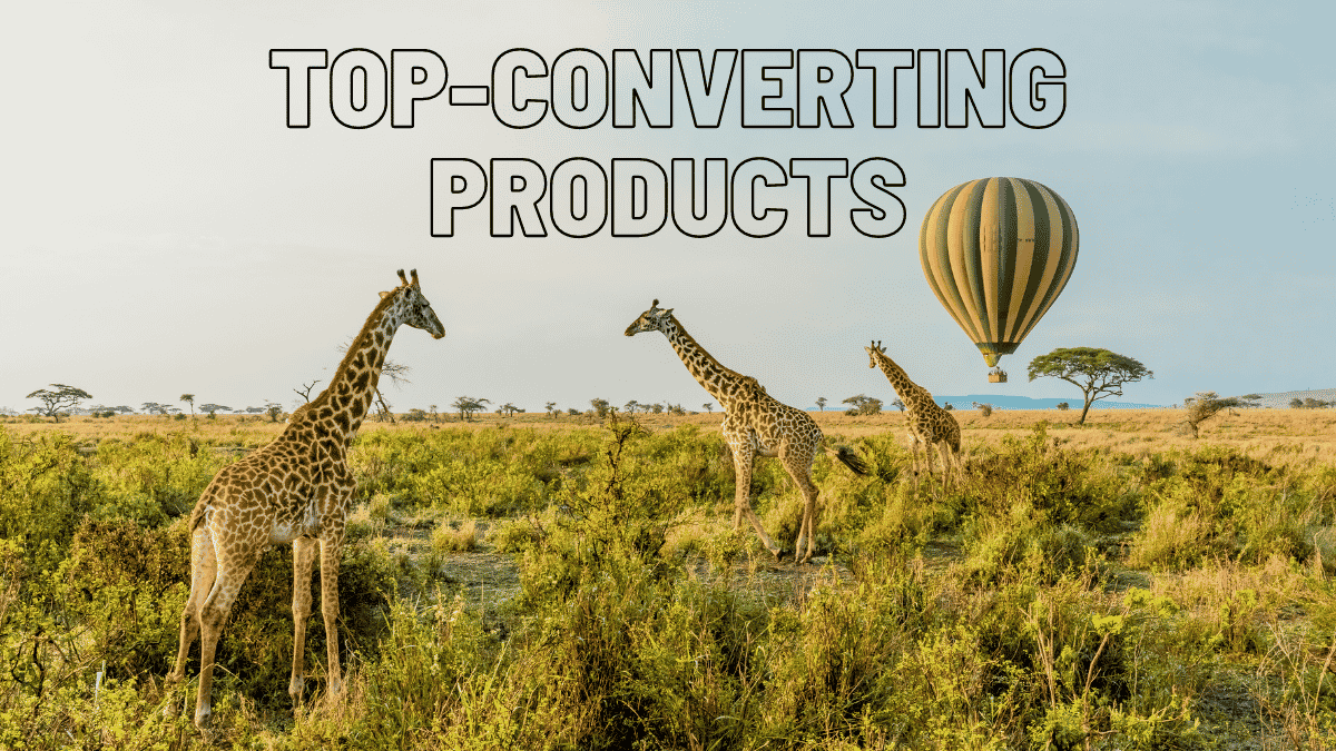 top-converting-products